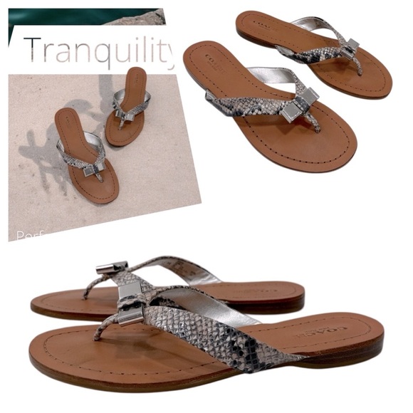 Coach Silver Sandals with Decorative bow Coach Sable Thong Sandals Women’s  5 B - Picture 1 of 11